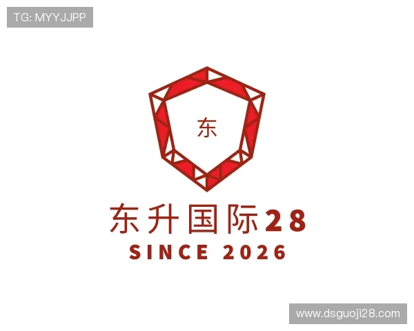 了解东升国际28